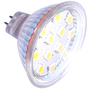 AMPOULE 15 LED MR16