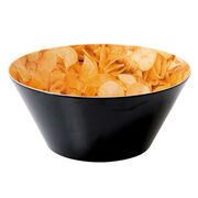 x SALADIER MELAMINE CHIPS D25.5