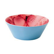 BOL GLACE FRAISES D 14.5