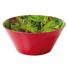 x SALADIER MELAMINE SALADE D25.5